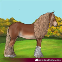 Horse Color:Chestnut Tobiano 