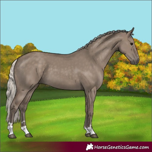 Horse Color:Silver Grullo