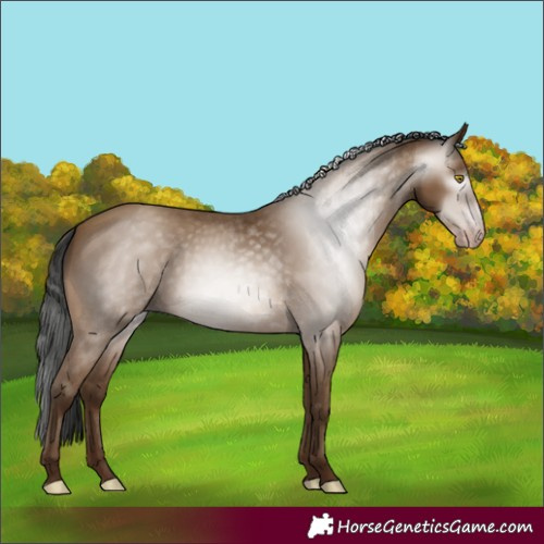 Horse Color:Gray Amber Champagne 