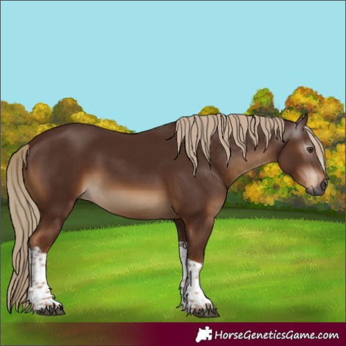 Horse Color:Gray Chestnut Tobiano 