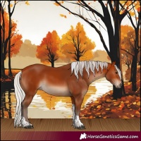 Horse Color:Silver Bay Tobiano