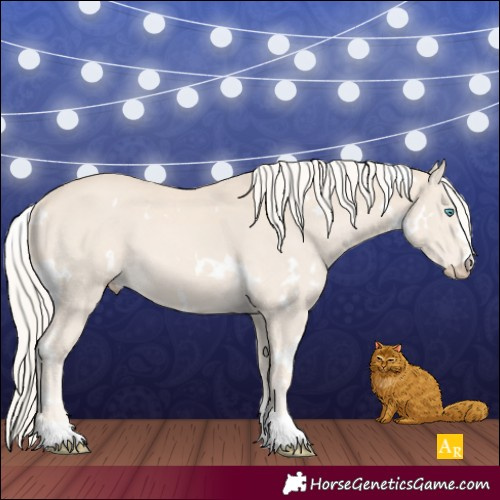 Horse Color:White Spotted Cremello 