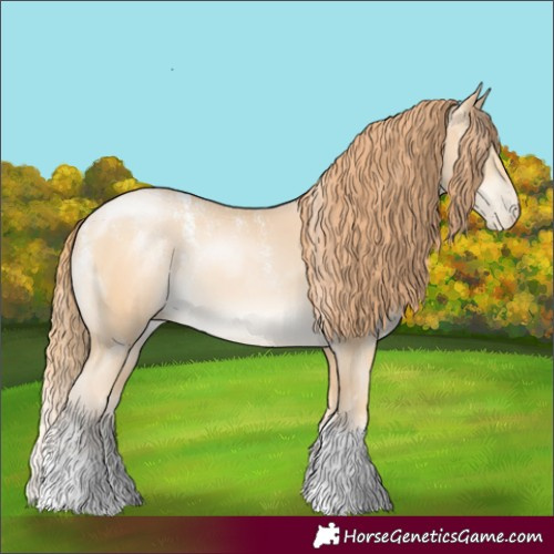 Horse Color:Powder White Bay Snowdrop Pearl Tobiano Rabicano 