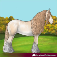 Horse Color:Powder White Bay Snowdrop Pearl Tobiano Rabicano 