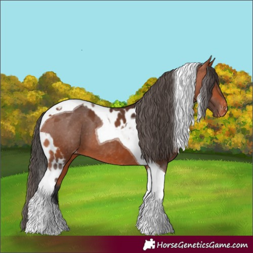 Horse Color:Bay Tobiano Skewed LP Spotted