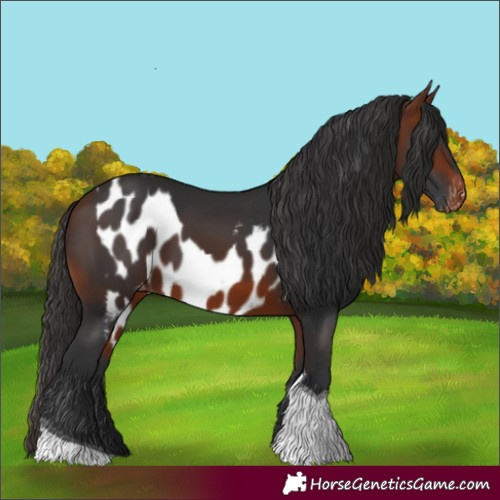 Horse Color:Bay Tobiano Skewed LP Spotted 