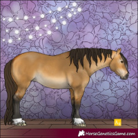 Horse Color:Gray Buckskin Dun 