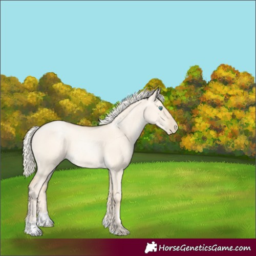 Horse Color:Gold Cream Champagne Pearl Dun 