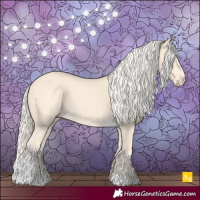 Horse Color:Cremello Tobiano