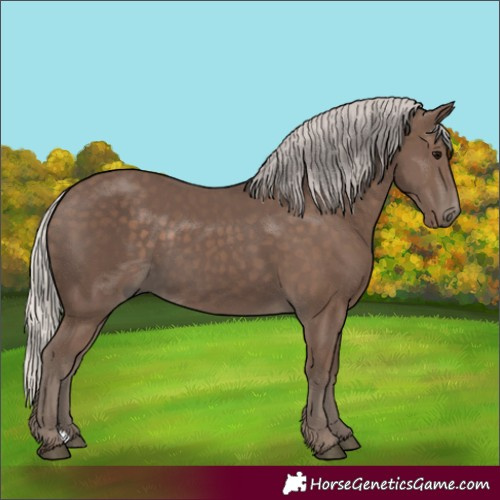 Horse Color:Silver Black 