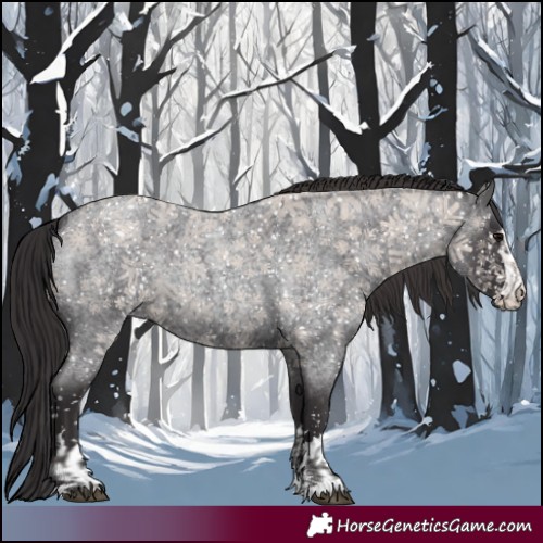 Horse Color:Smoky Blue Roan  and Smoky Blue Roan 