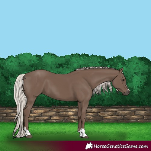 Horse Color:Silver Black 