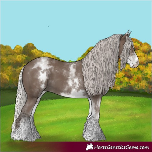 Horse Color:White Spotted Silver Black 
