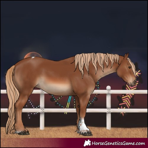 Horse Color:Chestnut Tobiano