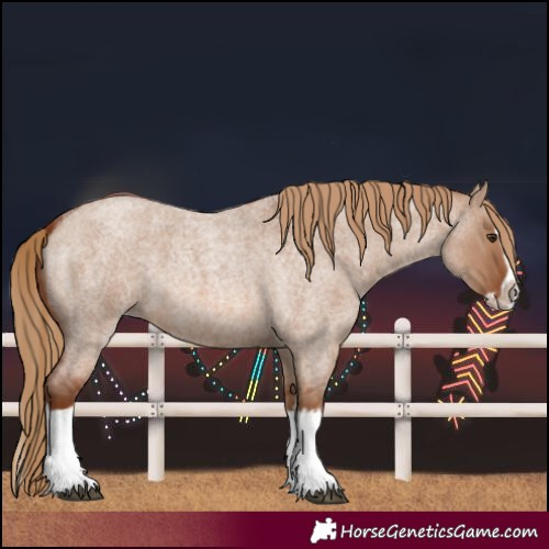 Horse Color:Red Dun Roan Splash Frame Rabicano 