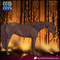 Horse Color:Chocolate Black 