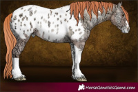 Horse Color:Classic Champagne Ice Pearl Onyx Tobiano Blanket 