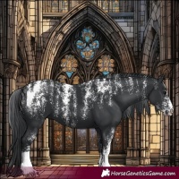 Horse Color:Powder White Black 