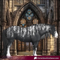 Horse Color:Powder White Black 