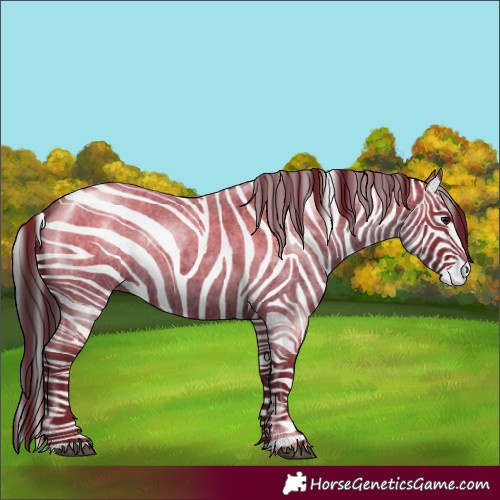 Horse Color:Blue Roan  and Smoky Blue Roan 