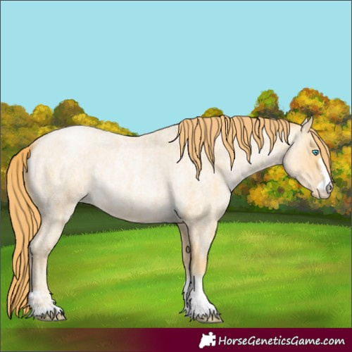 Horse Color:Buckskin Roan Pearl and Buckskin Roan Pearl