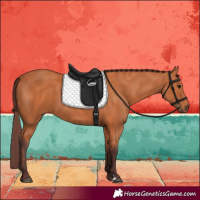 Horse Color:Chocolate Bay