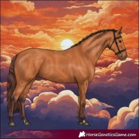 Horse Color:Chocolate Bay