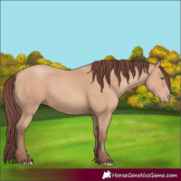 Horse Color:Chocolate Amber Champagne 