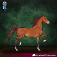 Horse Color:Chocolate Bay