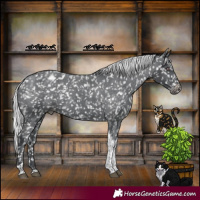 Horse Color:Silver Black Chinchilla Tobiano Appaloosa 