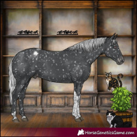 Horse Color:Silver Black Chinchilla Tobiano Appaloosa