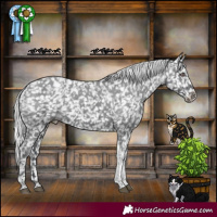 Horse Color:Silver Black Chinchilla Tobiano Appaloosa
