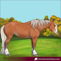 Horse Color:Chocolate Silver Bay 