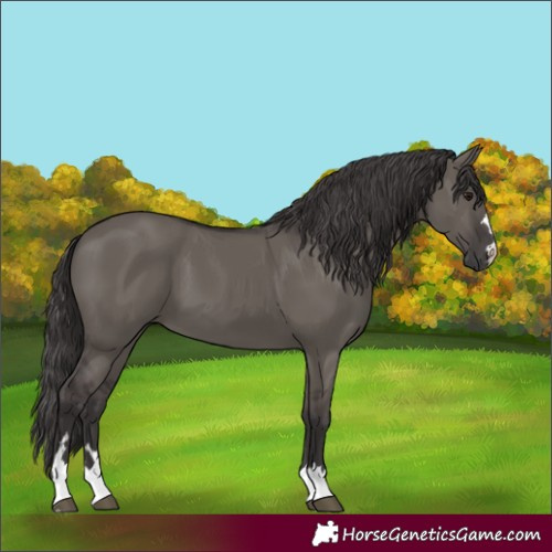 Horse Color:Smoky Grullo