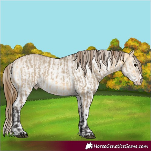 Horse Color:Buckskin Dun Snowflake Varnish  and White Spotted Buckskin Dun Snowflake Varnish 