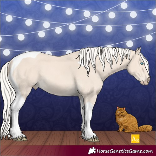 Horse Color:Cremello Tobiano 