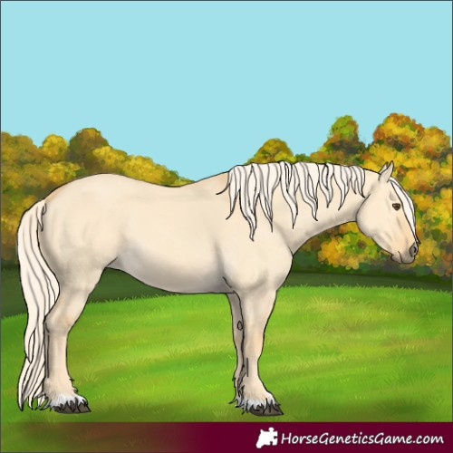 Horse Color:Palomino Dun 