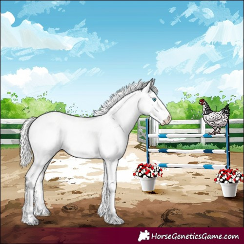 Horse Color:Cremello Dun Tobiano