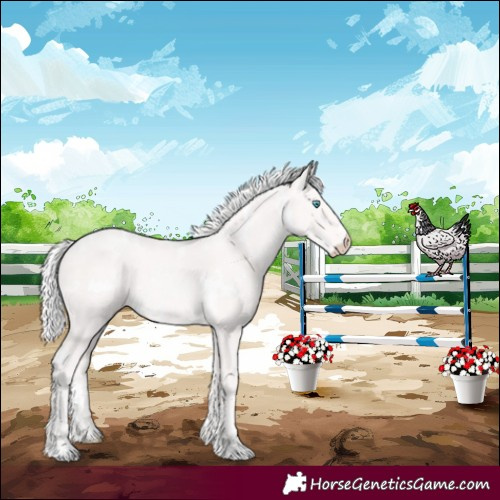 Horse Color:White Spotted Cremello