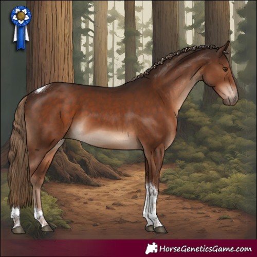 Horse Color:Liver Chestnut Tobiano