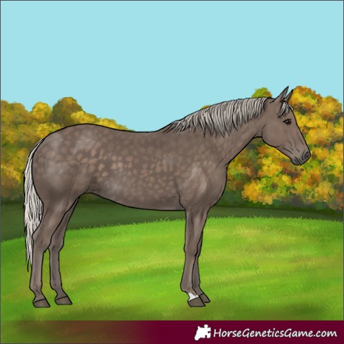Horse Color:Silver Black 