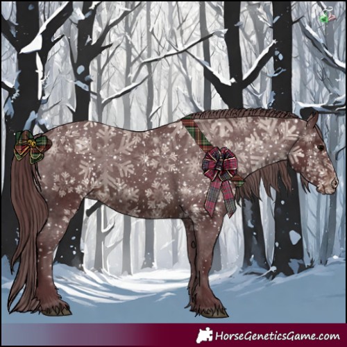 Horse Color:Chocolate Brown Appaloosa 