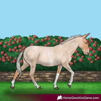 Horse Color:Silver Blue Roan Pearl Tobiano Frame 