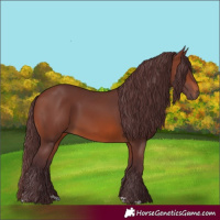 Horse Color:Chocolate Brown