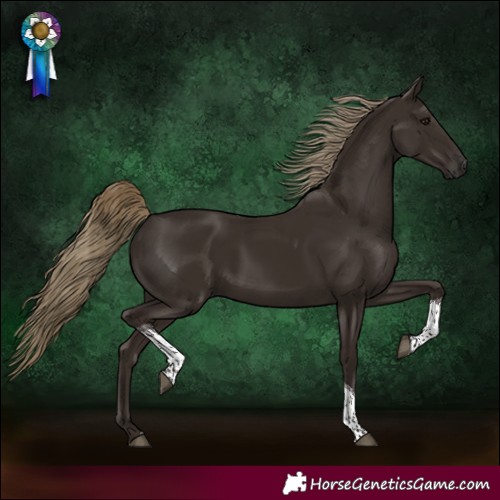 Horse Color:Liver Chestnut Tobiano 