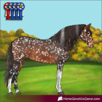 Horse Color:Bay Tobiano Snowflake Varnish 