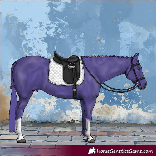 Horse Color:Watercolor Black Tobiano 