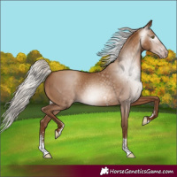 Horse Color:Gray Silver Sable Champagne Sabino 