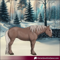 Horse Color:Chocolate Silver Black 