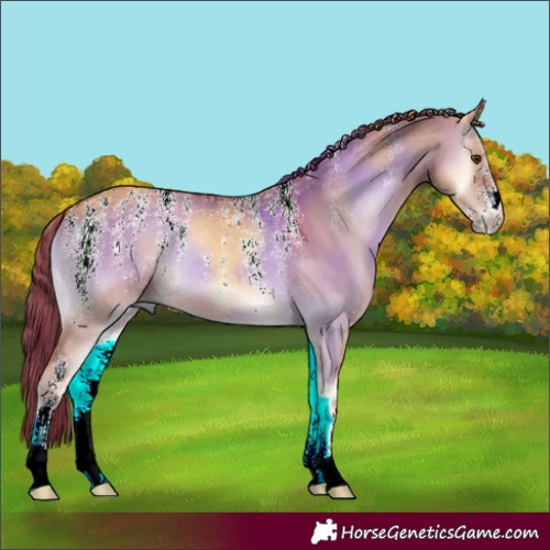 Horse Color:Powder White Red Dun Onyx 